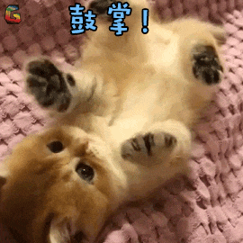 超好用的练字App推荐给大家！(图22)