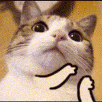 超好用的练字App推荐给大家！(图1)