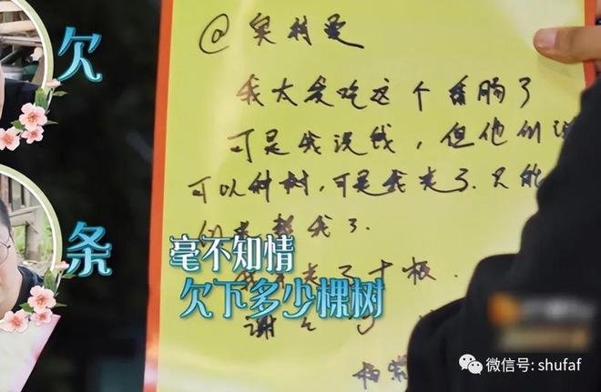 杨紫手写体走红字迹工整如印刷为学子树立练字榜样(图3)