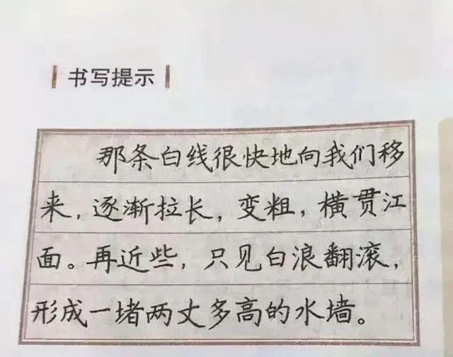 卢中南硬笔书法：俊朗秀气温润细腻示范字典范(图2)