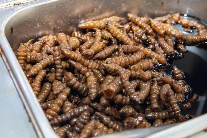 炎炎夏日来橙柿发帖晒出你家餐桌的下饭神器送你景阳观双菜瓜(图3)